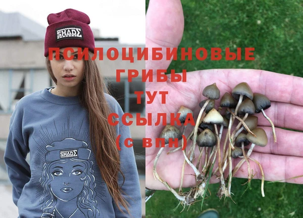 метамфетамин Абаза
