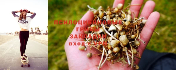 прущая мука Абинск