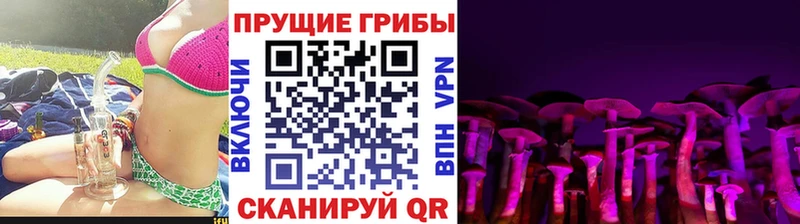 Галлюциногенные грибы Psilocybe Оренбург
